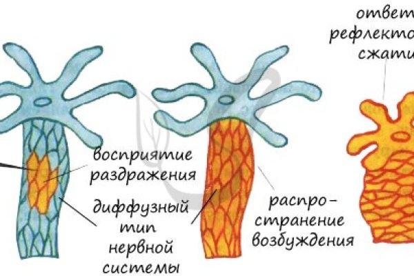 Сайт кракен закрыли