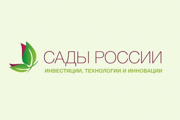Кракен рабочее на сегодня сайт