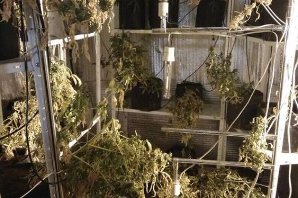 Что такое кракен шоп